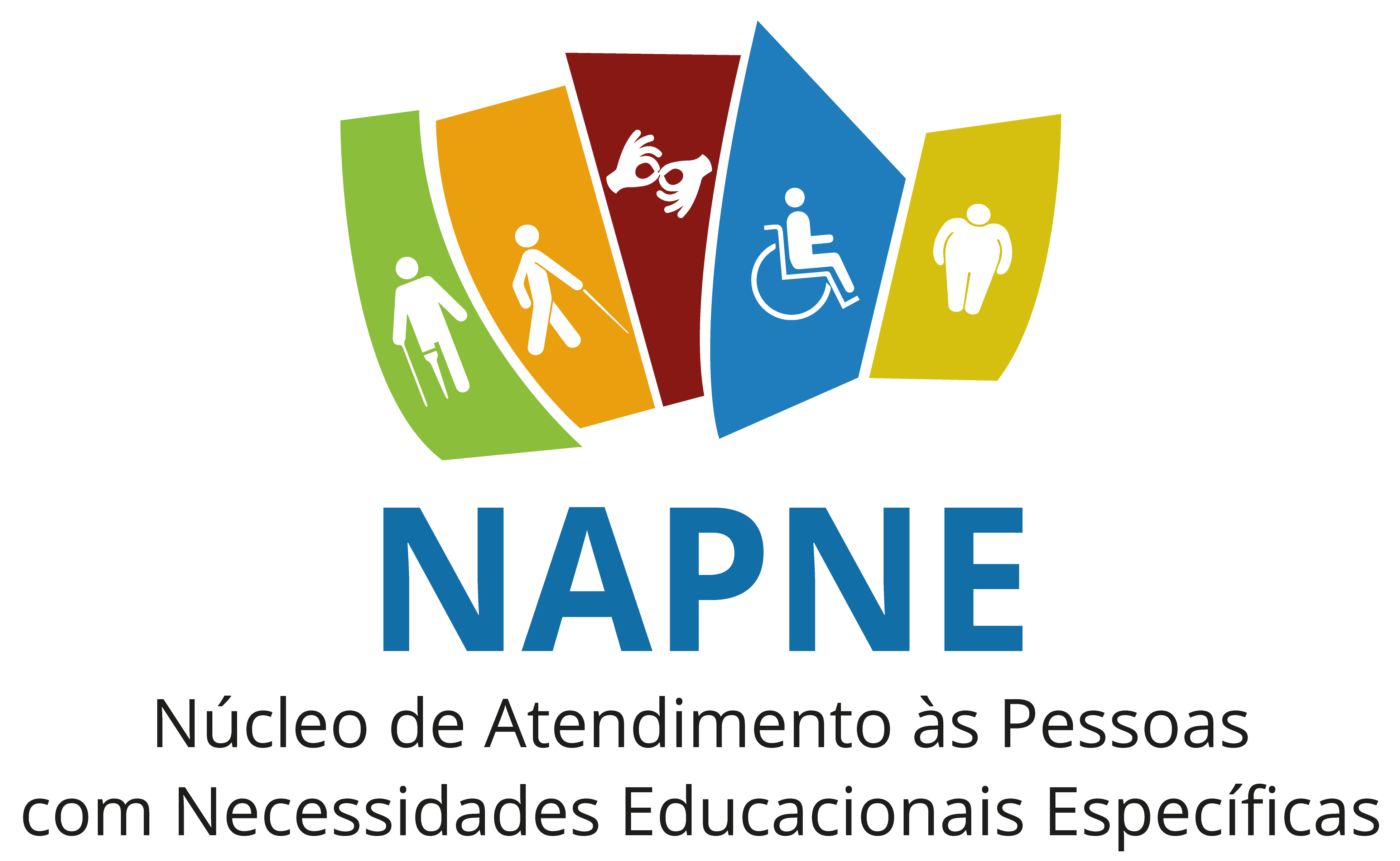 Logo-NAPNE